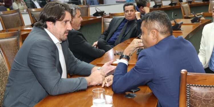 Assembleia Legislativa analisará projetos voltados à causa animal