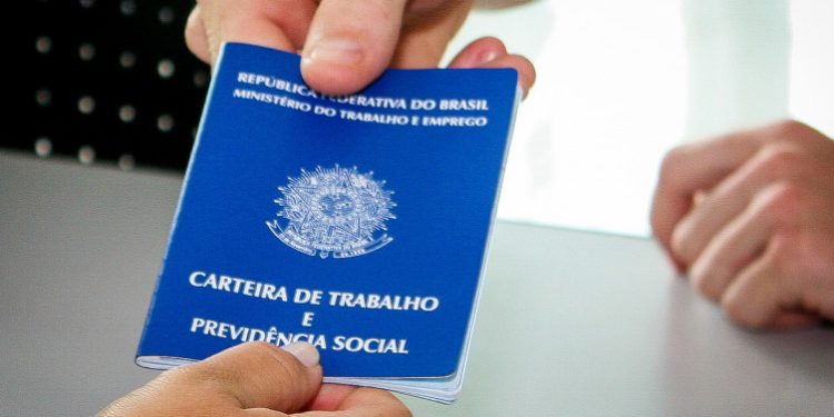 Tocantins inicia 2025 com o segundo maior saldo positivo de empregos formais da Região Norte do país