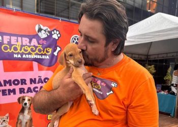 Feira de Adoção da Aleto emociona e garante novos lares para cães e gatos resgatados