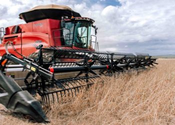 Tocantins bate recorde de produção de grãos com safra de 8,9 milhões de toneladas em 2025