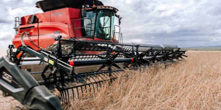 Tocantins bate recorde de produção de grãos com safra de 8,9 milhões de toneladas em 2025