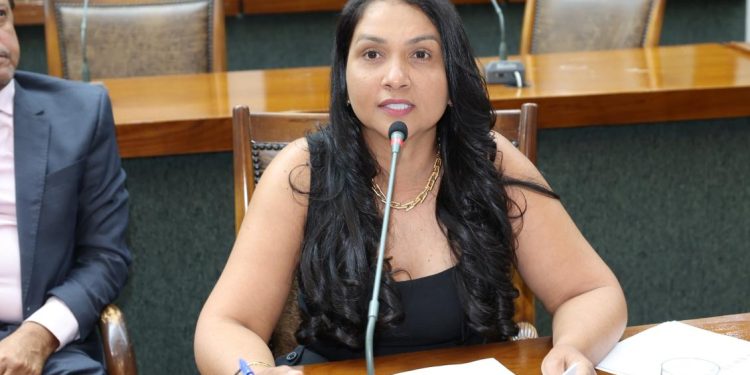 Deputada Vanda Monteiro propõe programa de assistência às vítimas de violência