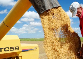 Governo do Tocantins celebra recorde histórico na safra de grãos e consolida protagonismo no agro nacional