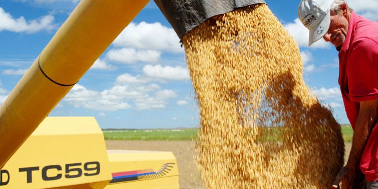 Governo do Tocantins celebra recorde histórico na safra de grãos e consolida protagonismo no agro nacional