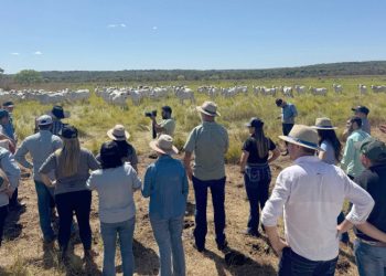 Rota da Pecuária: Governo do Tocantins inicia visitas técnicas com foco em integração e tecnologias no Vale do Araguaia