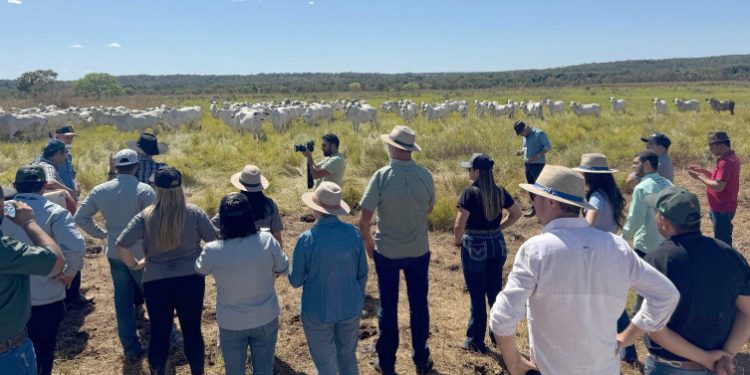 Rota da Pecuária: Governo do Tocantins inicia visitas técnicas com foco em integração e tecnologias no Vale do Araguaia