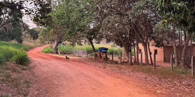 Ponte Alta do Tocantins alcança marca de 380 km de estradas rurais recuperadas na gestão Kedson Alves