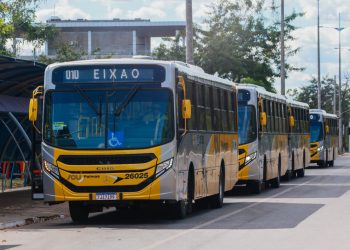 Nova operação do transporte de Palmas completa dois meses com aprovação de usuários