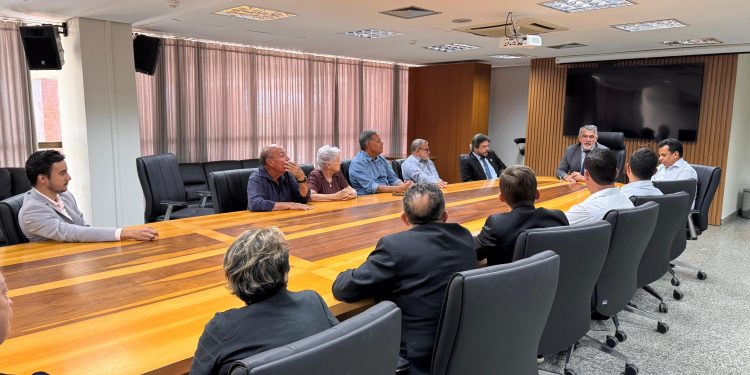 Amélio Cayres articula avanços para implantação de cursos de Medicina em Colinas e Araguatins