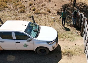 Governo do Tocantins realiza mutirão de atendimentos de regularização fundiária em Combinado