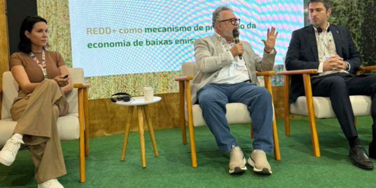 Tocantins chega à COP30 como protagonista em sustentabilidade e mercado de carbono