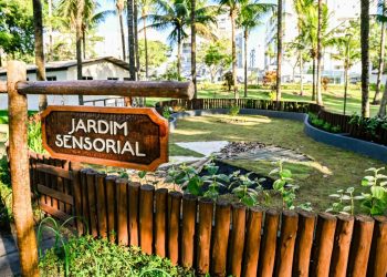 Tá na conta: Clínica-Escola Mundo Autista terá jardim sensorial com emenda de Marcus Marcelo