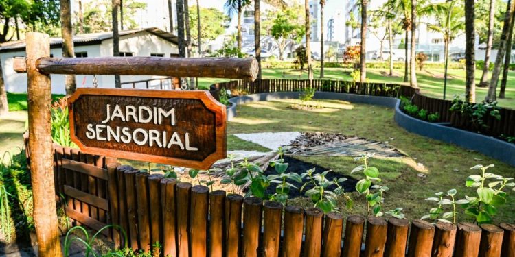 Tá na conta: Clínica-Escola Mundo Autista terá jardim sensorial com emenda de Marcus Marcelo