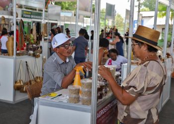 Vanda Monteiro apresenta projeto de lei que institui Política Estadual de Agroindústria Familiar no Tocantins