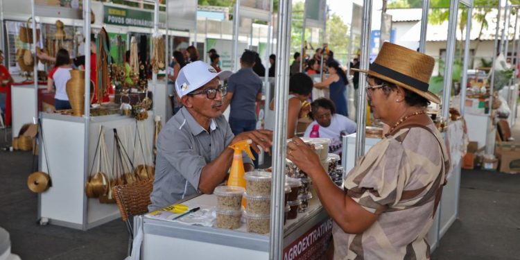 Vanda Monteiro apresenta projeto de lei que institui Política Estadual de Agroindústria Familiar no Tocantins