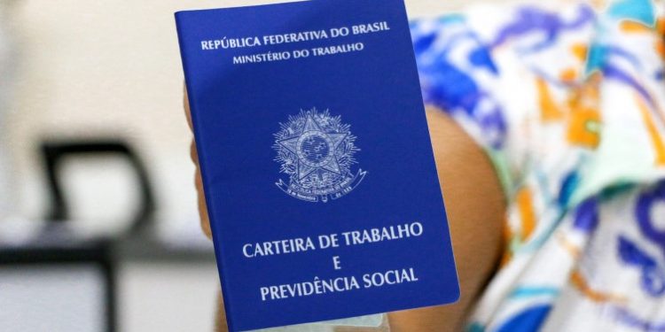 Tocantins tem maior índice de trabalho formal da região Norte do Brasil