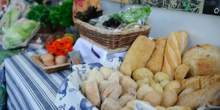 Indústria de alimentos e bebidas cresceu 8% em 2025, diz Abia