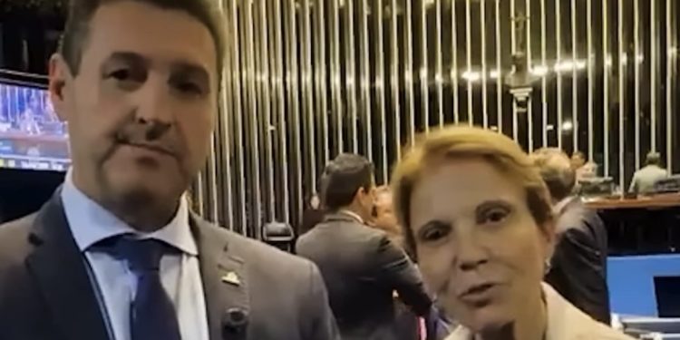 No Senado, Maurício Buffon fortalece articulação pelo agro e avança em pautas estratégicas para produtores