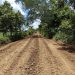 Com trabalho intenso na zona rural, gestão de Dione do Pastel alcança 80% das estradas recuperadas e impulsiona desenvolvimento de Combinado em parceria com o Governo do Estado