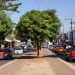 Prefeitura de Palmas iniciará requalificação da Avenida Tocantins e prepara comerciantes para obras na próxima semana