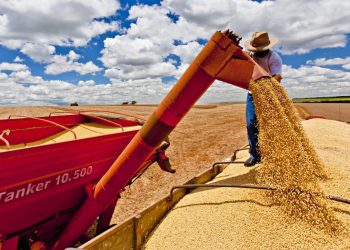 Déficit de armazenagem de grãos no Tocantins expõe gargalo logístico do agro, aponta estudo; Virgílio Azevedo defende agilizar investimento em infraestrutura
