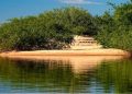Governo do Tocantins garante R$ 88 milhões para impulsionar política ambiental em 2027