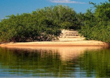 Governo do Tocantins garante R$ 88 milhões para impulsionar política ambiental em 2027