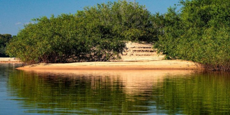 Governo do Tocantins garante R$ 88 milhões para impulsionar política ambiental em 2027